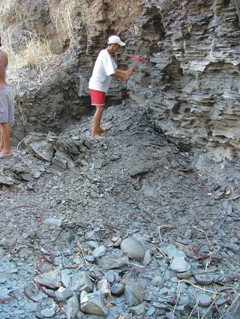 Caption: Outcrop of the Romualdo Member of the Santana Formation showing fossil-bearing the early diagenetic carbonate concretions at Sobradinho.